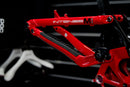 Cuadro Intense M1 Usado